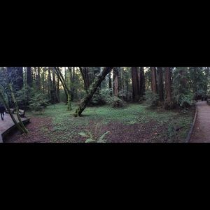 Meet your Posher, Liles